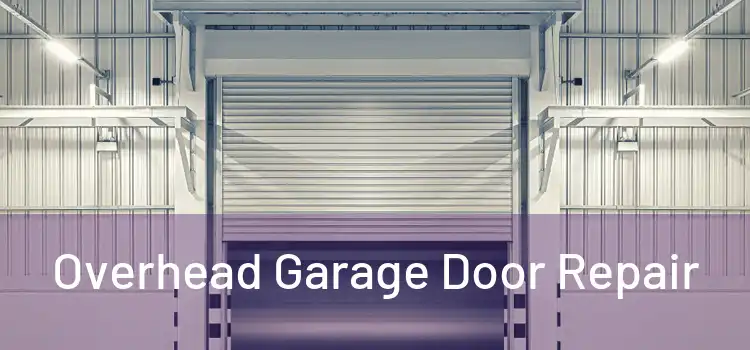  Overhead Garage Door Repair 